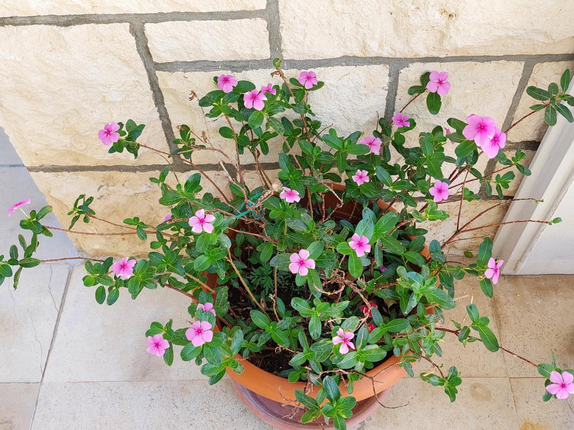 חוואר Vila Luka 2 מראה חיצוני תמונה